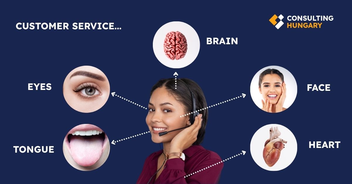 Customer service as a living body of your business
